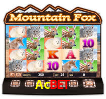 Acbet App